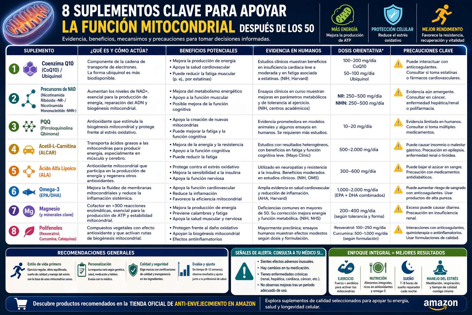 Top 8 suplementos para potenciar la función mitocondrial después de los 50