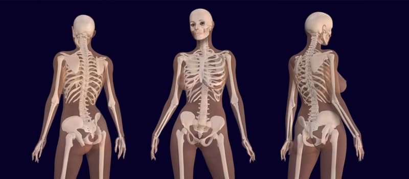Osteoporosis en la menopausia: causas profundas, riesgos invisibles y estrategias reales para combatirla